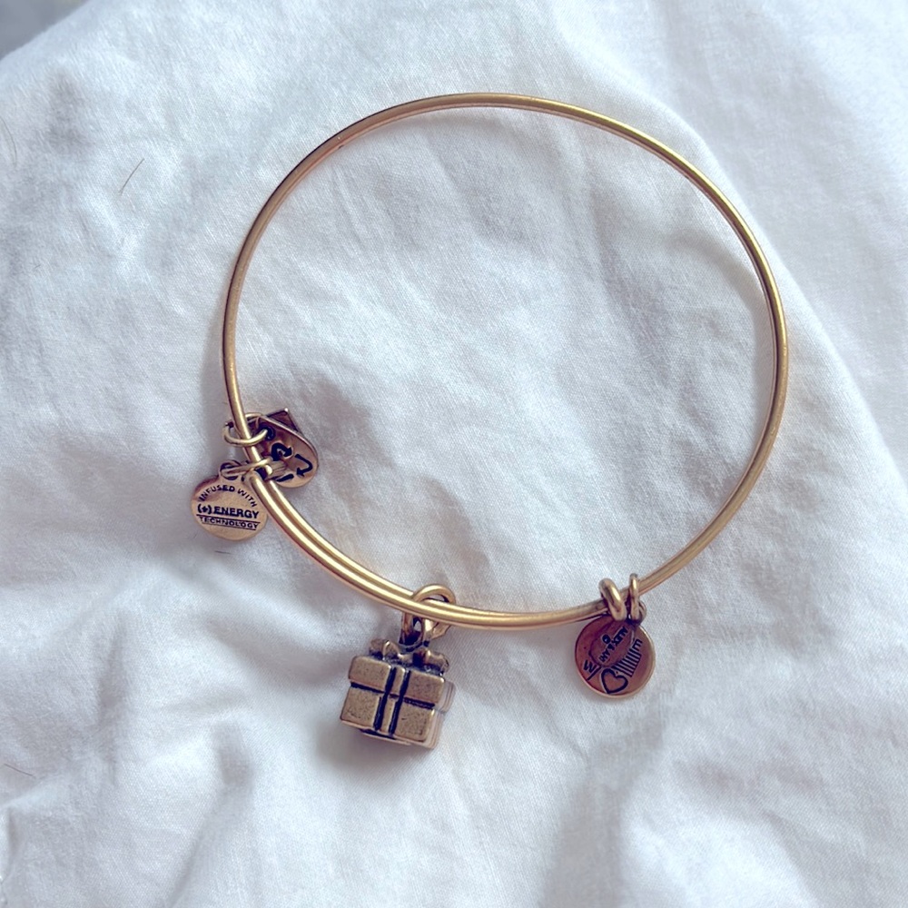 Alex and Ani present charm bracelet
